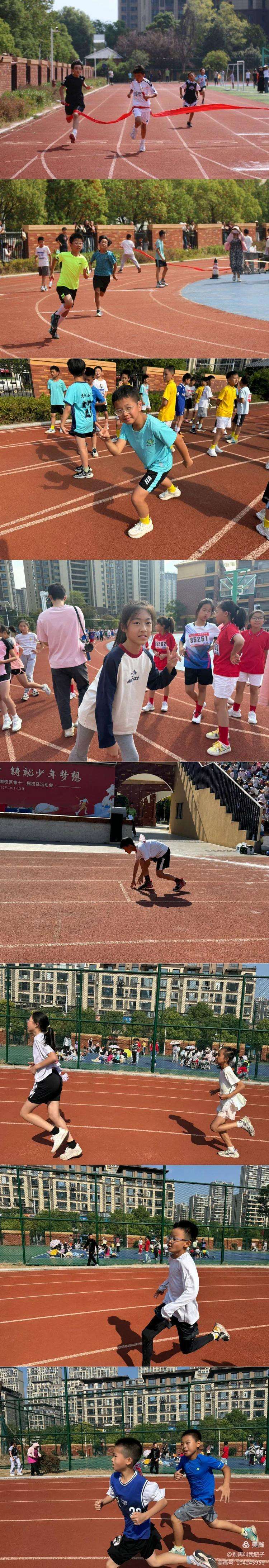 激动人心！体育场上一片欢呼声